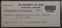 Image Associated With the Occurence